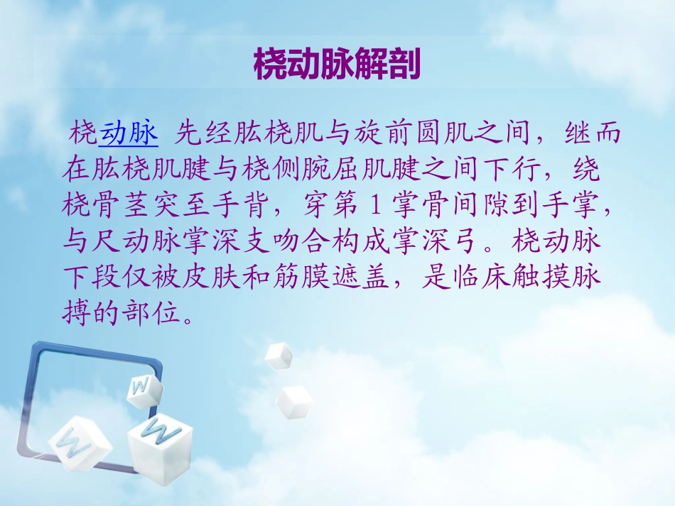 新生儿常用血管穿刺术.ppt_第3页