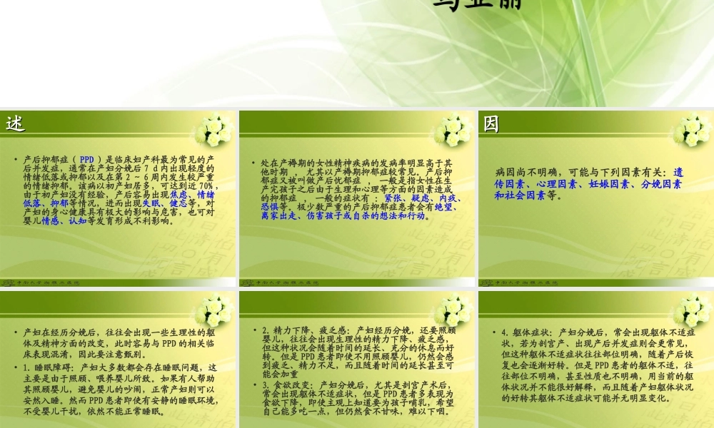 产后抑郁症.ppt