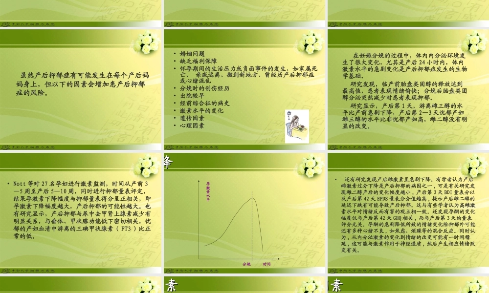 产后抑郁症.ppt