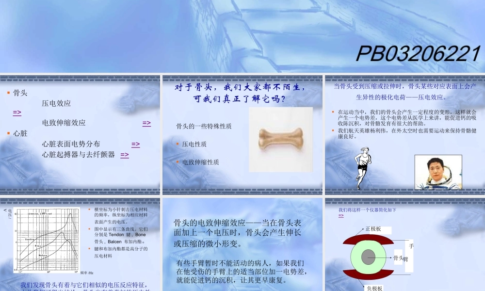 人体中电现象的一些探讨.ppt