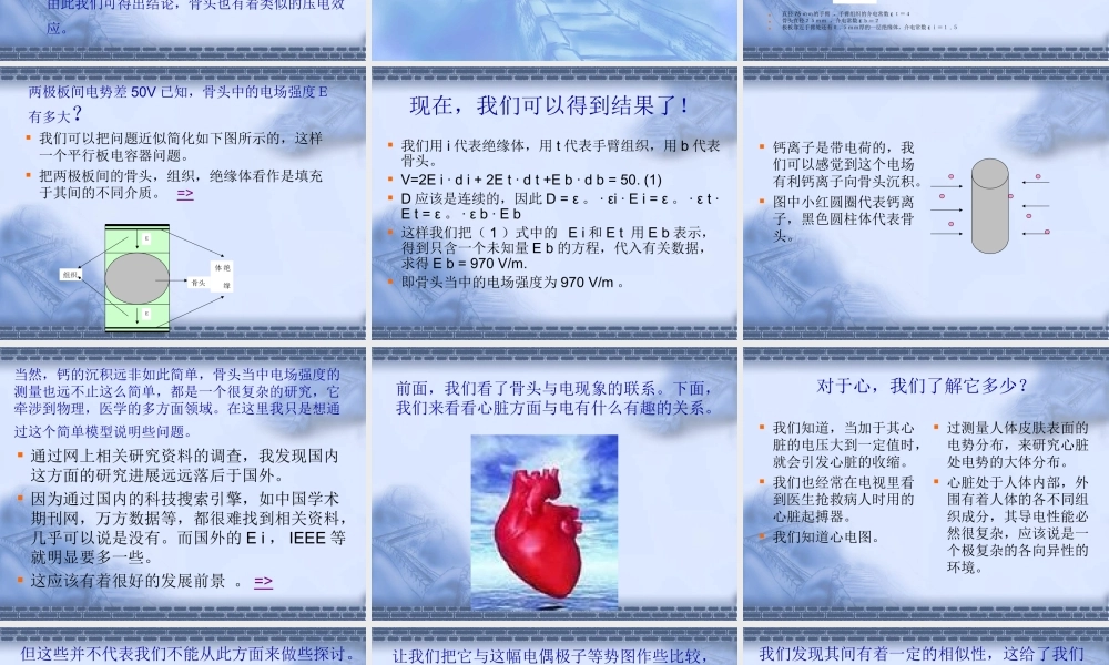 人体中电现象的一些探讨.ppt