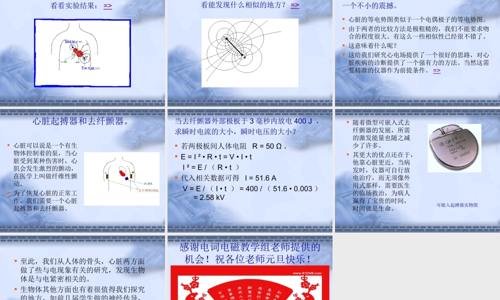 人体中电现象的一些探讨.ppt