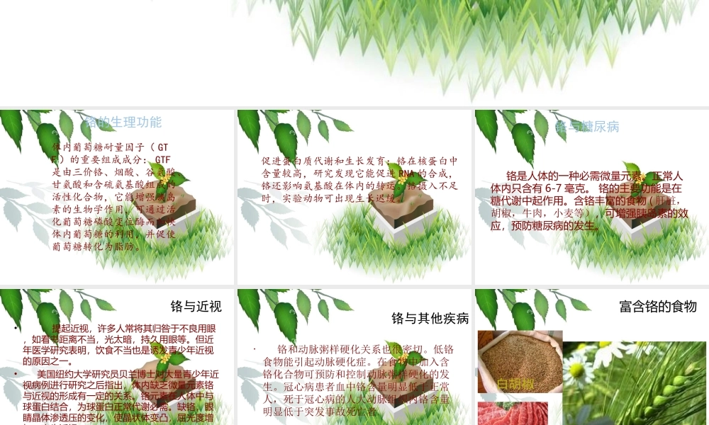 人体微量元素铬.ppt