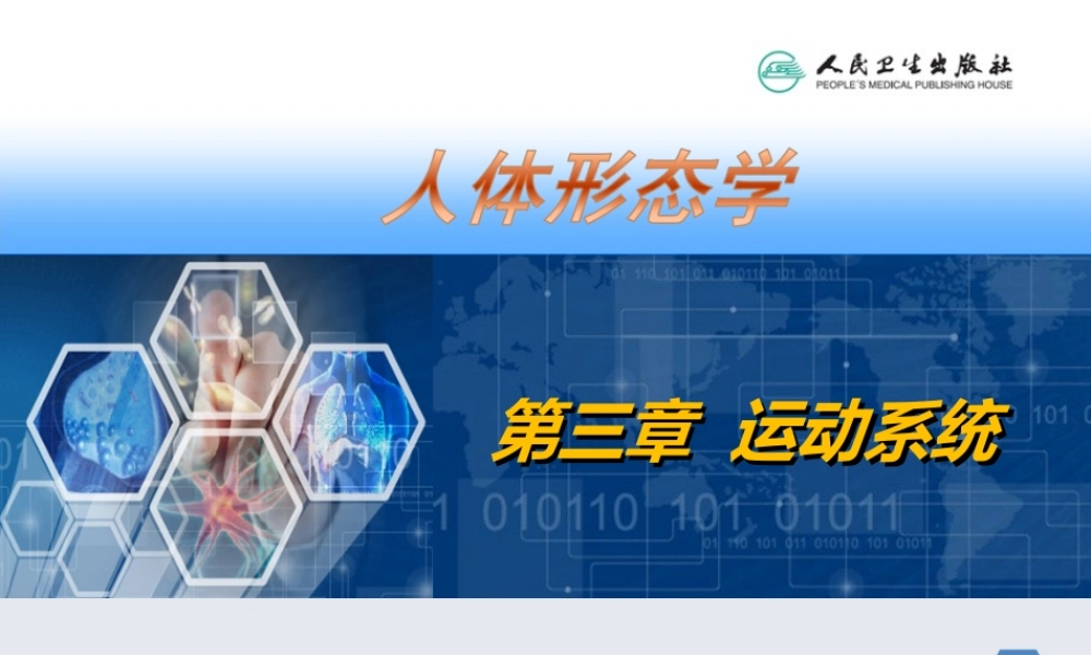 人体形态学--第03章--第3节--骨骼肌-1.总论.ppt