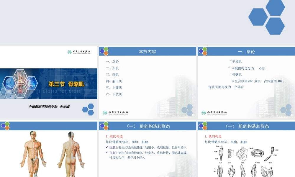 人体形态学--第03章--第3节--骨骼肌-1.总论.ppt