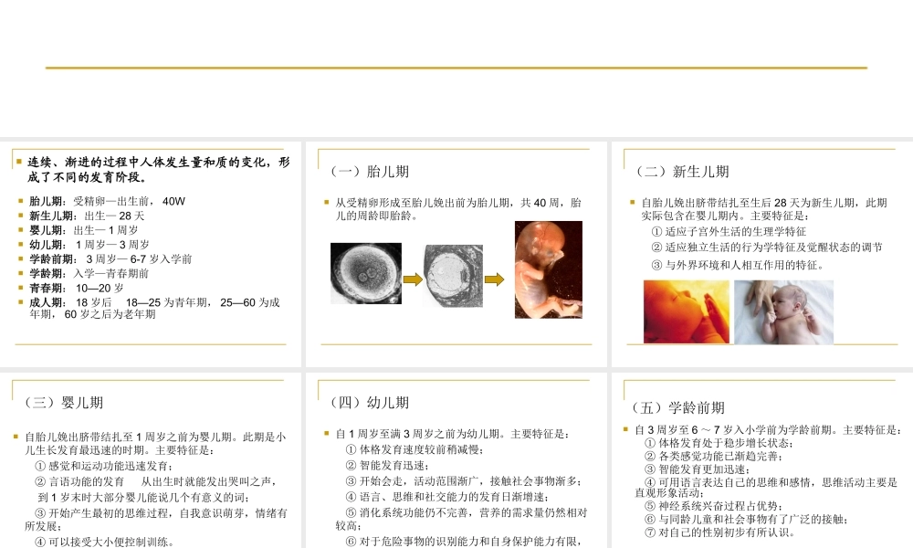 人体发育规律.ppt