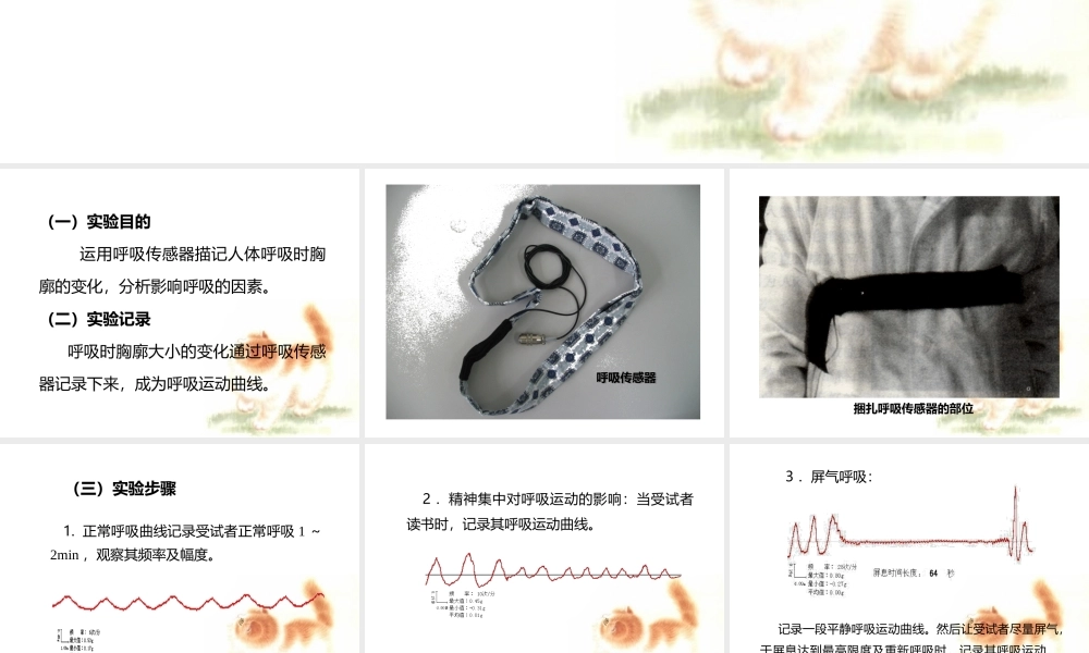 人体呼吸运动.ppt