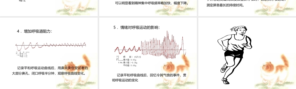 人体呼吸运动.ppt