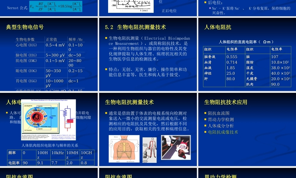 人体电阻抗.ppt
