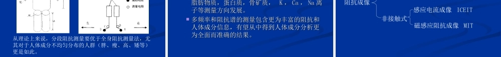 人体电阻抗.ppt