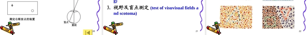 人体色盲、听力、视野测定Test-of-color-blindness--hearing-....ppt