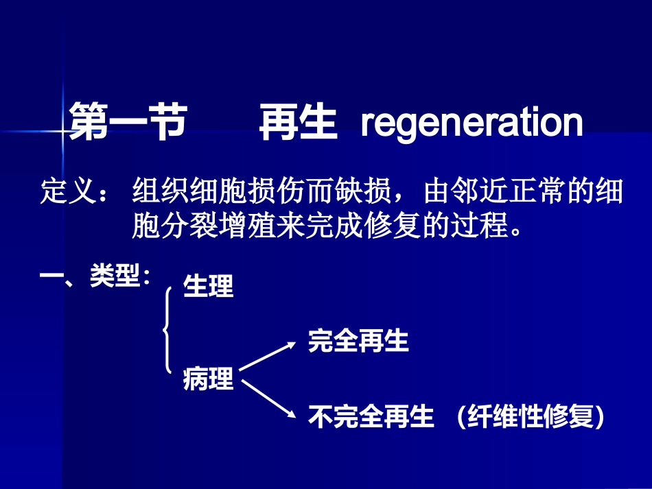 新生的毛细血管增生的纤维母细胞一定量的炎性细胞肉芽组织的结构.ppt_第2页