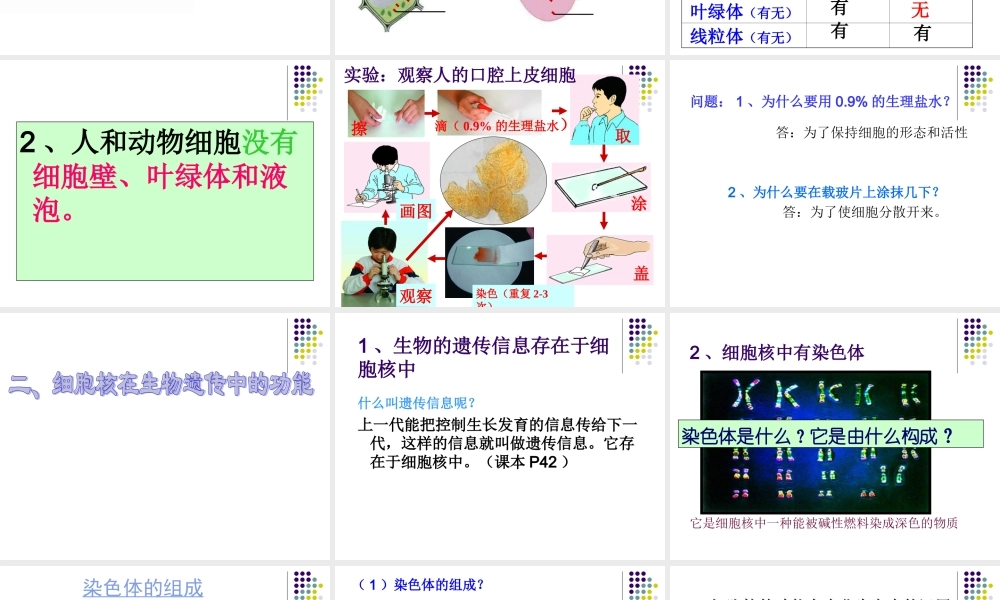 人和动物细胞的结构与功能.ppt