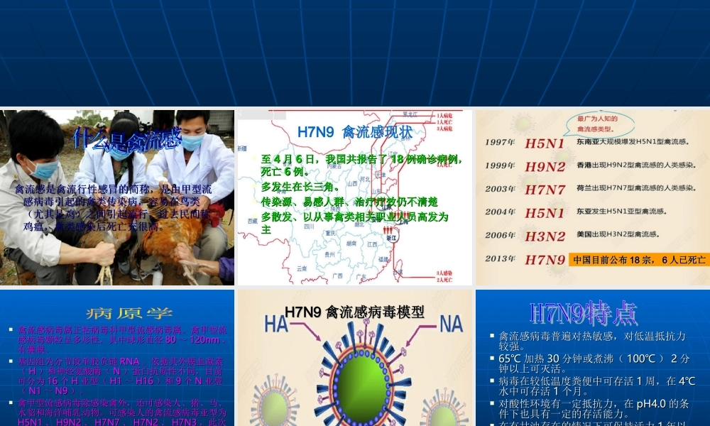 人感染-H7N9-禽流知识宣讲.ppt
