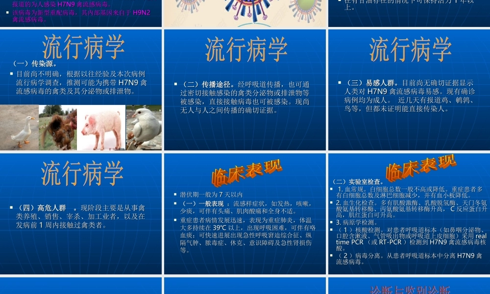 人感染-H7N9-禽流知识宣讲.ppt