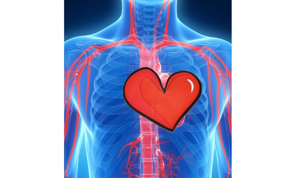 人教版二年级美术-第八课《叶子上的小血管》.ppt