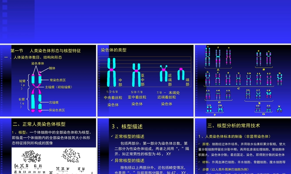 人染色体与染色体病.ppt