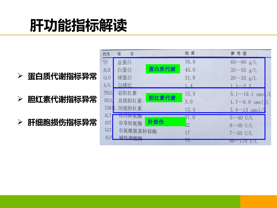 新版肝功能指标解读.pptx_第3页