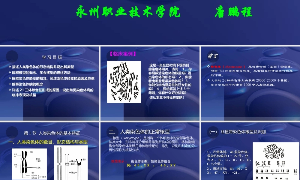 人类染色体与染色体病解读.ppt