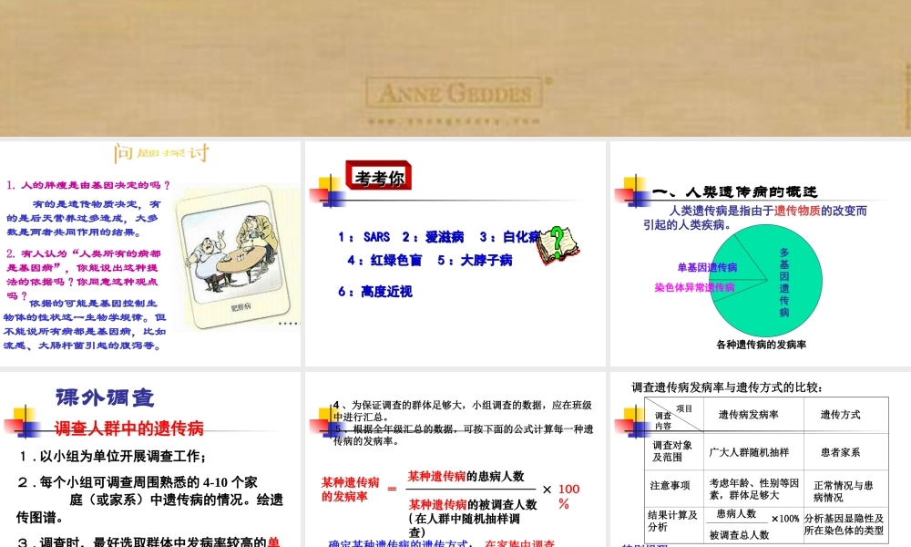 人类遗传病.ppt.ppt