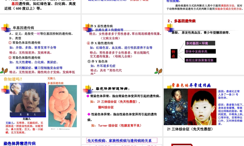 人类遗传病.ppt.ppt