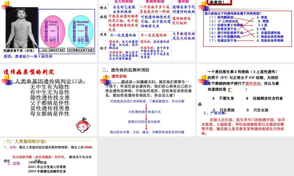 人类遗传病.ppt.ppt