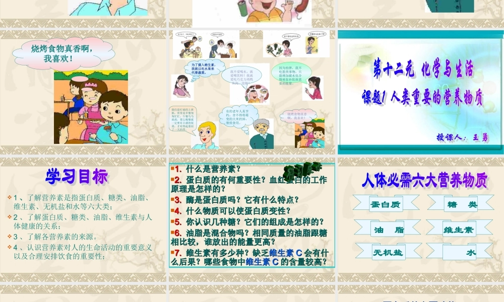 人类重要的营养物质..ppt