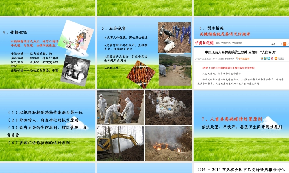 人畜共患传染病及防控策略.ppt