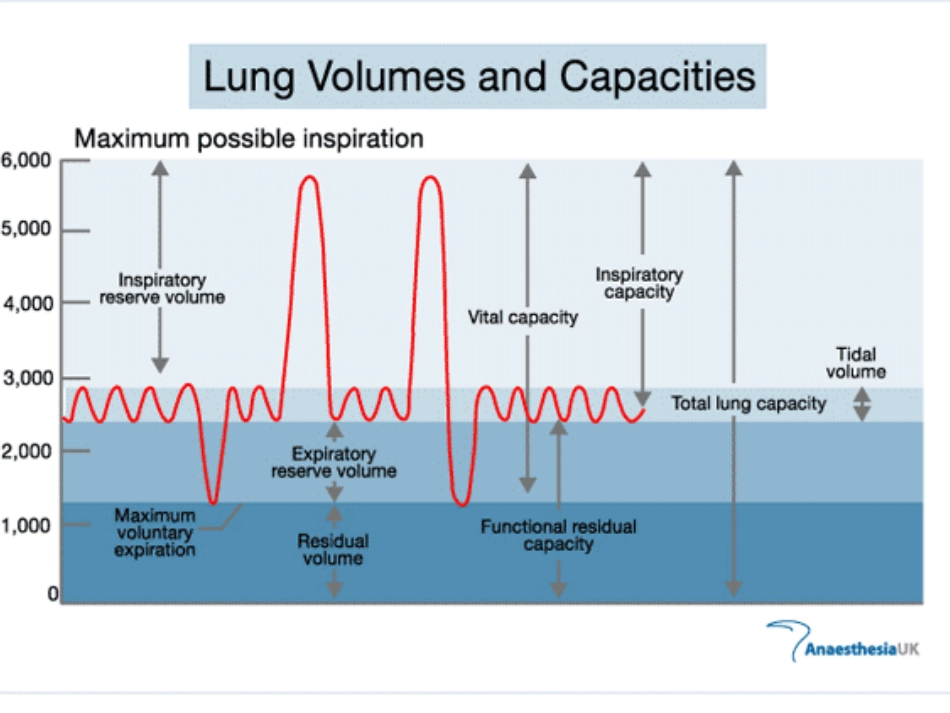 新生儿呼吸机的使用马莉.ppt_第3页