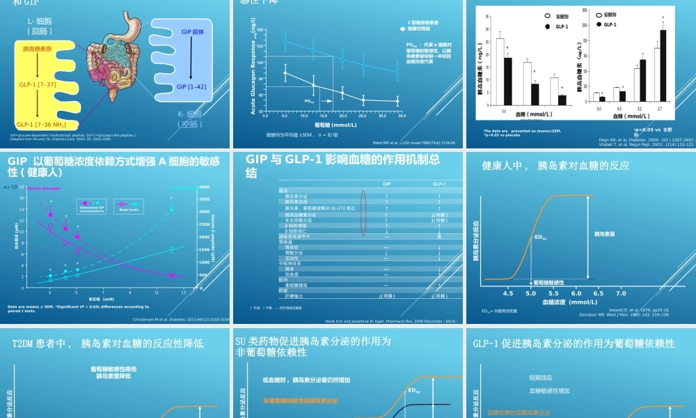 从低血糖风险看DPP4抑制剂的应用.pptx