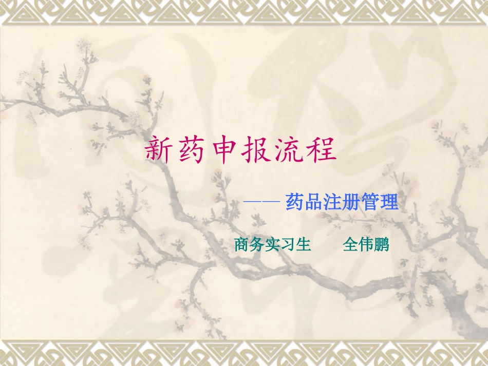 新药申报.ppt_第1页