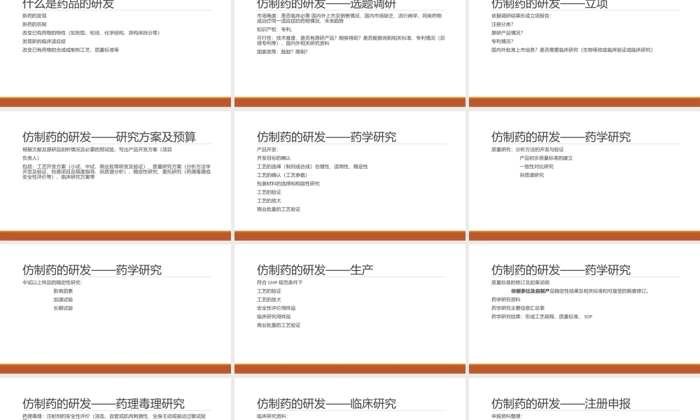 仿制药的研发.pptx