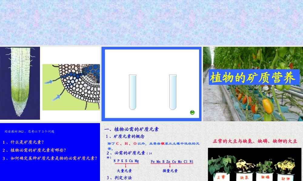 优质课植物的矿质营养(好)(精).ppt