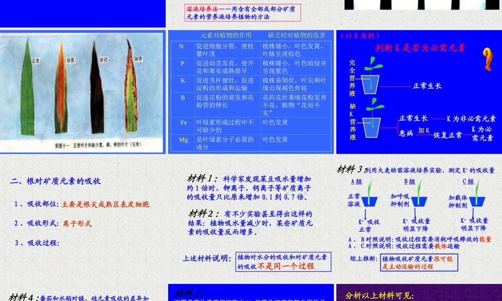 优质课植物的矿质营养(好)(精).ppt