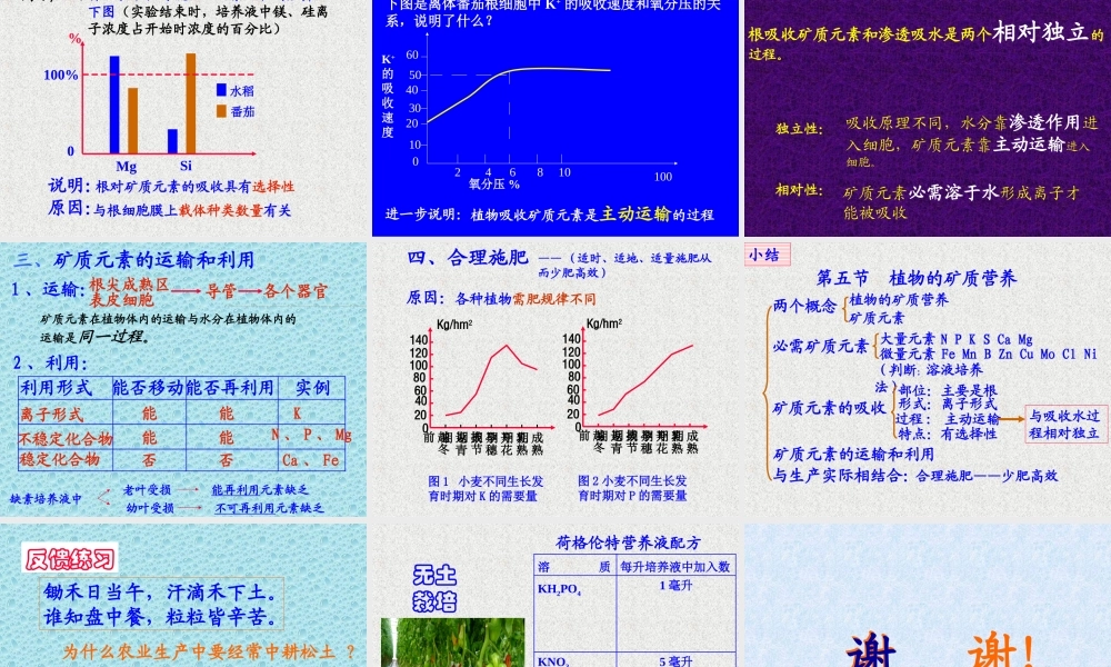 优质课植物的矿质营养(好)(精).ppt