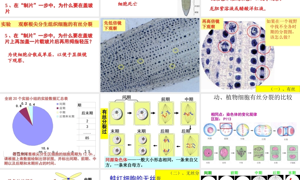 会考复习三细胞分裂衰老凋亡癌变要点.ppt