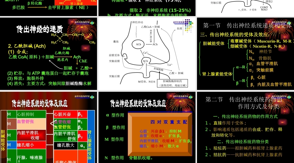 传出神经系统药理概论.pptx