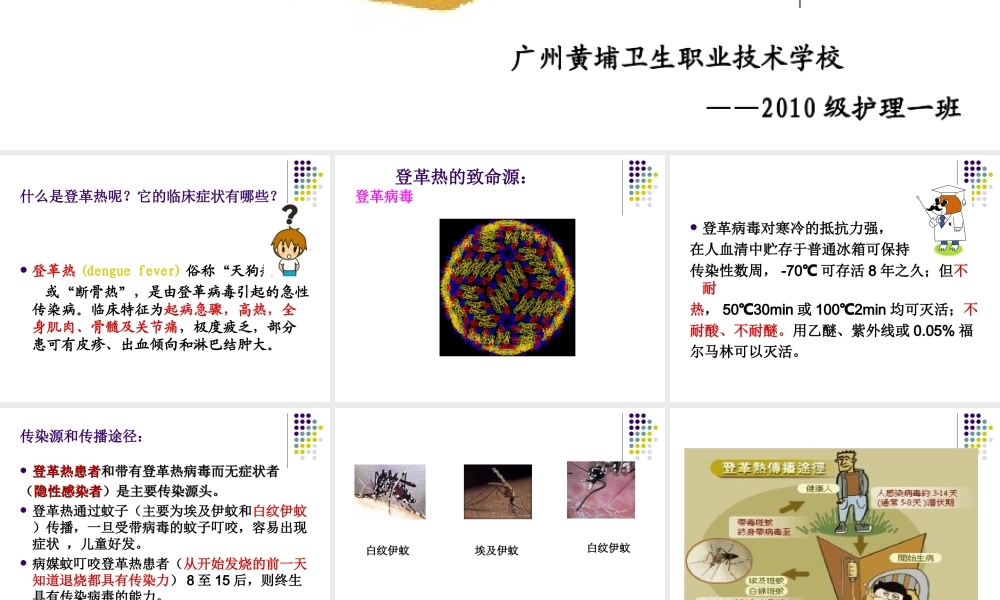 传染病——登革热修改.ppt