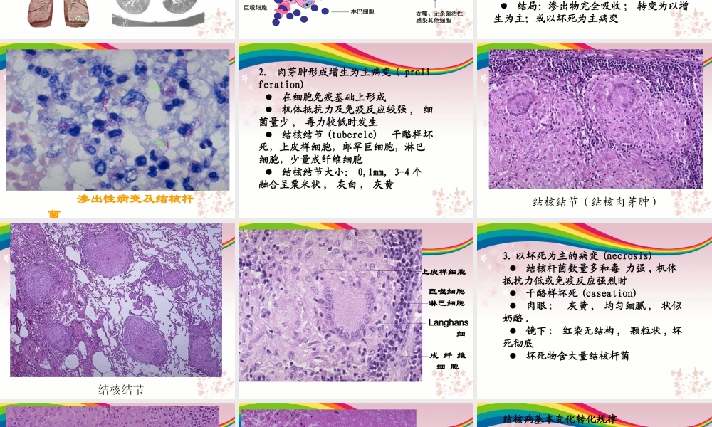 传染病及寄生虫病.ppt
