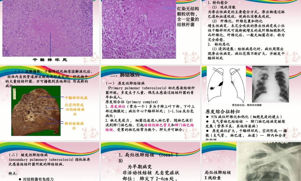 传染病及寄生虫病.ppt