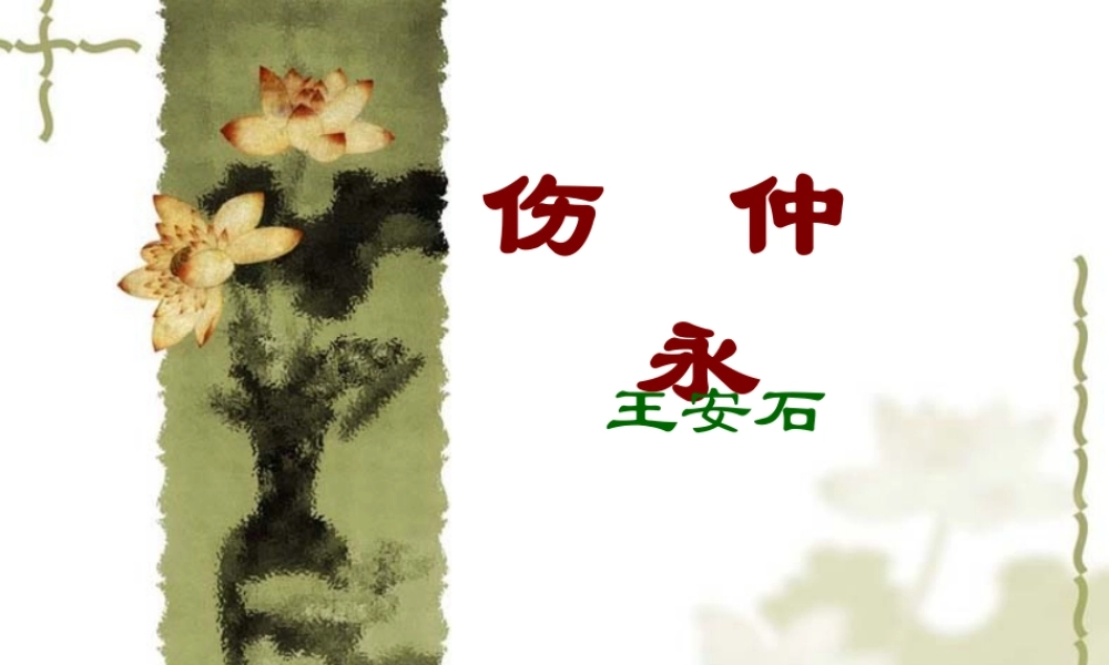 伤--仲--永资料.ppt