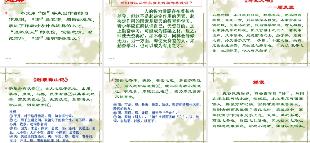 伤--仲--永资料.ppt