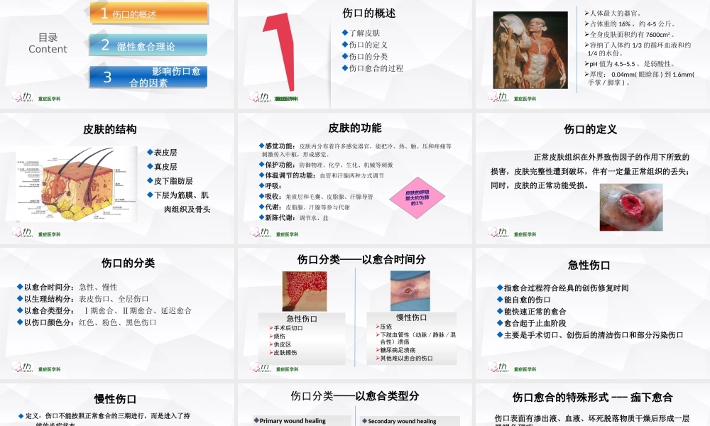 伤口愈合理论.ppt