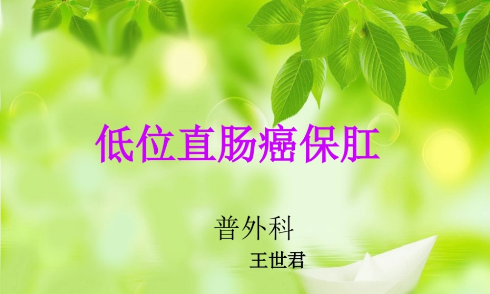 低位直肠癌保肛.pptx