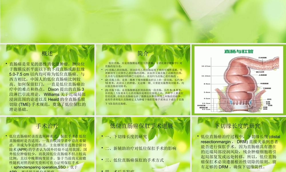 低位直肠癌保肛.pptx