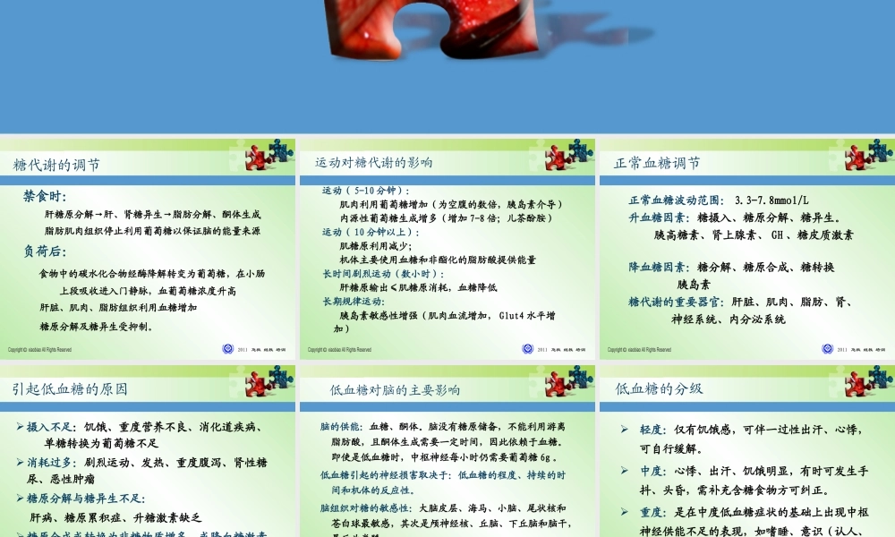 低血糖症解读2011版.ppt