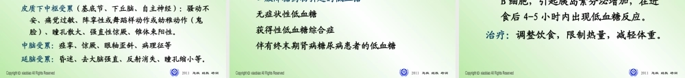 低血糖症解读2011版.ppt