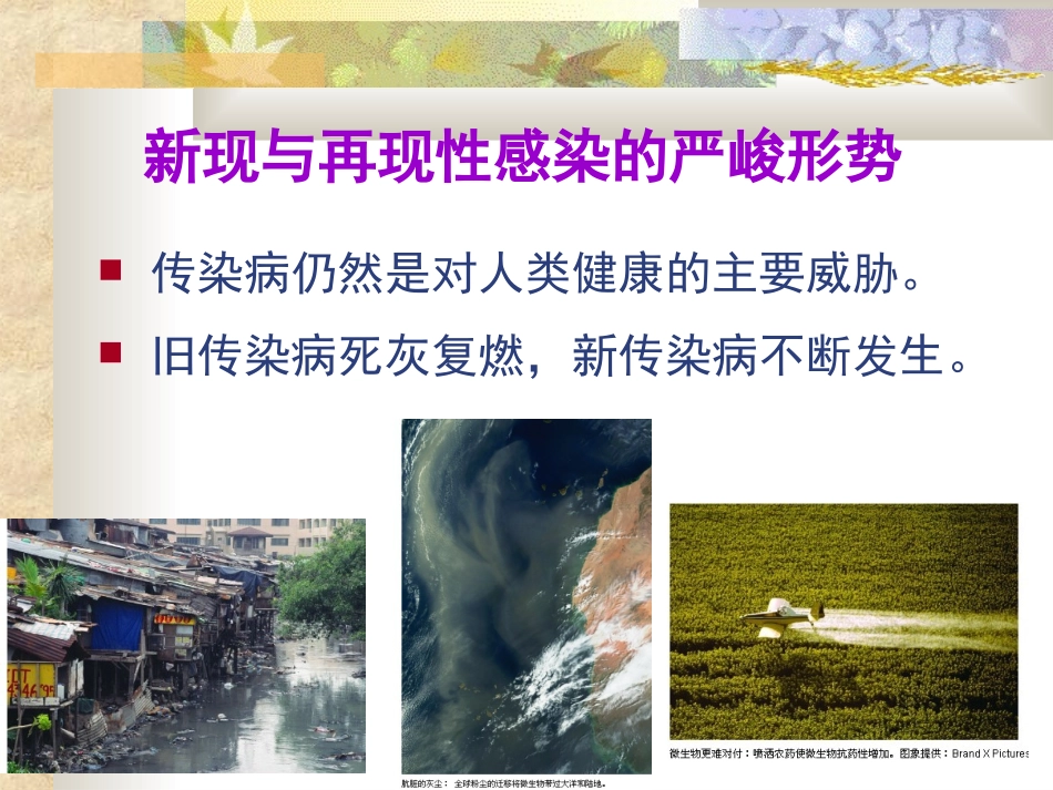 新现与再现传染病.ppt_第2页