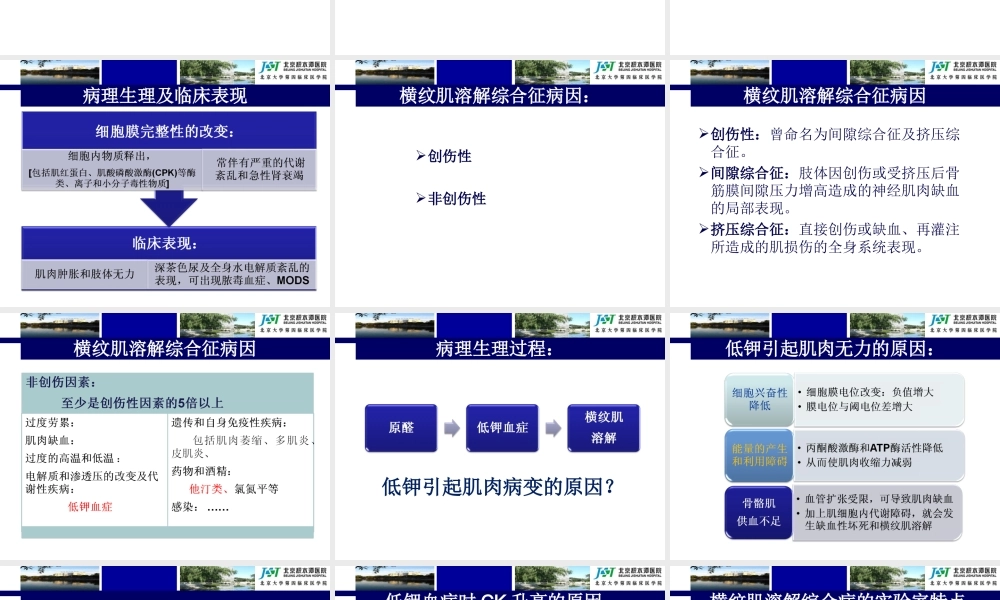 低钾血症及横纹肌溶解综合征.ppt