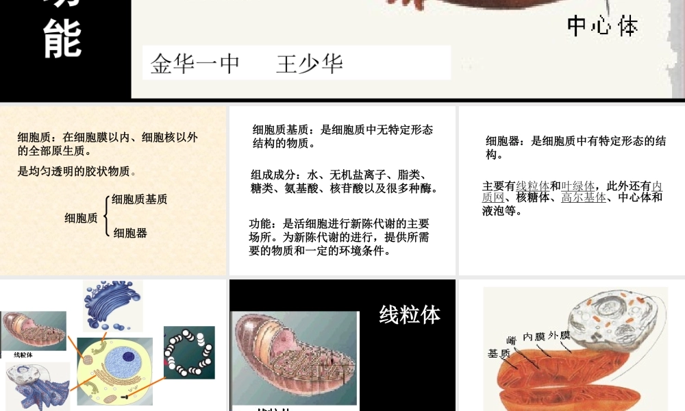 使线粒体与周围的细胞质基质分开内膜与嵴.ppt
